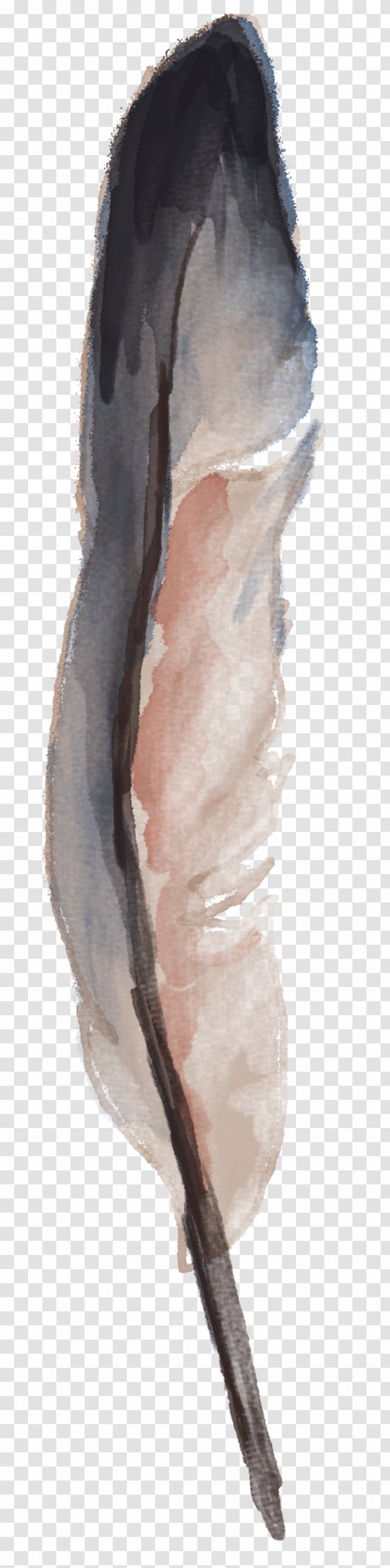 Watercolor Painting Feather Drawing Transparent PNG