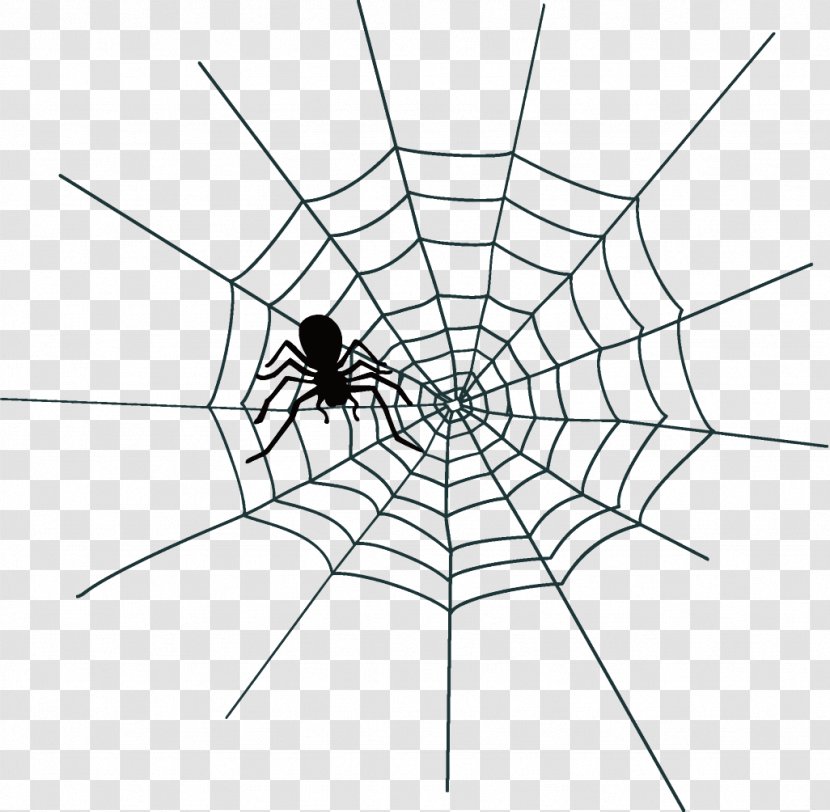 Spider Web Halloween - White - Symmetry Blackandwhite Transparent PNG
