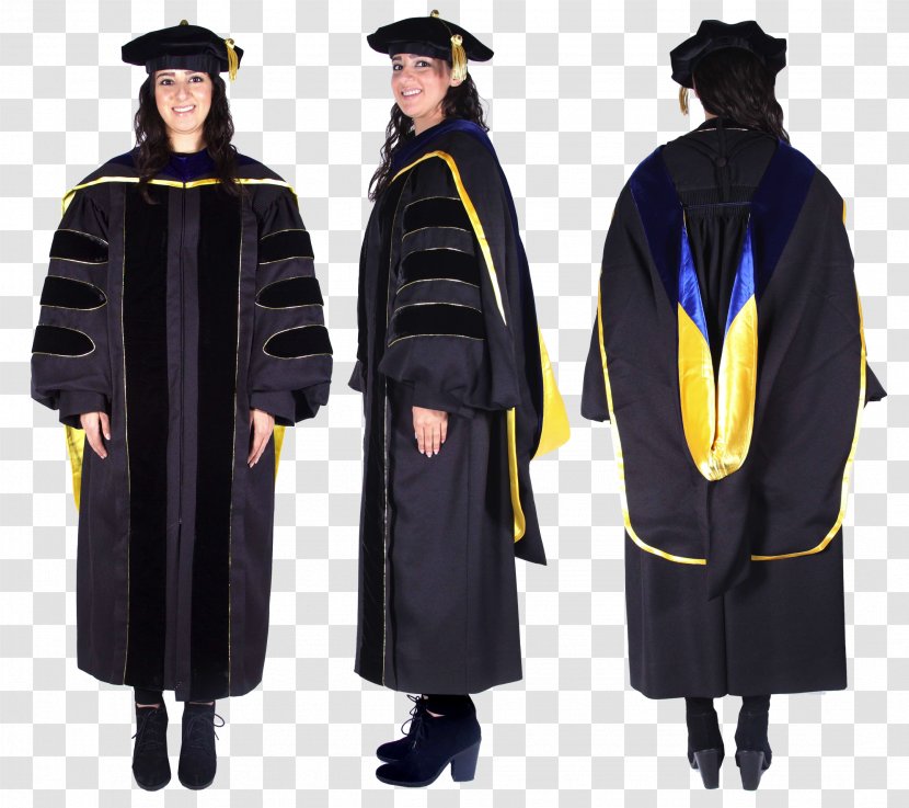 Robe University Of California, Santa Cruz Berkeley Riverside Academic Dress - Doctorate - Graduation Gown Transparent PNG