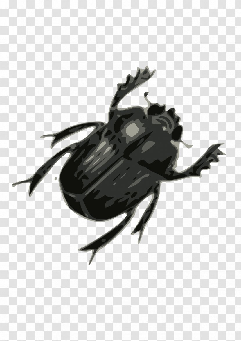 Beetle Clip Art - Membrane Winged Insect - Bug Image Transparent PNG