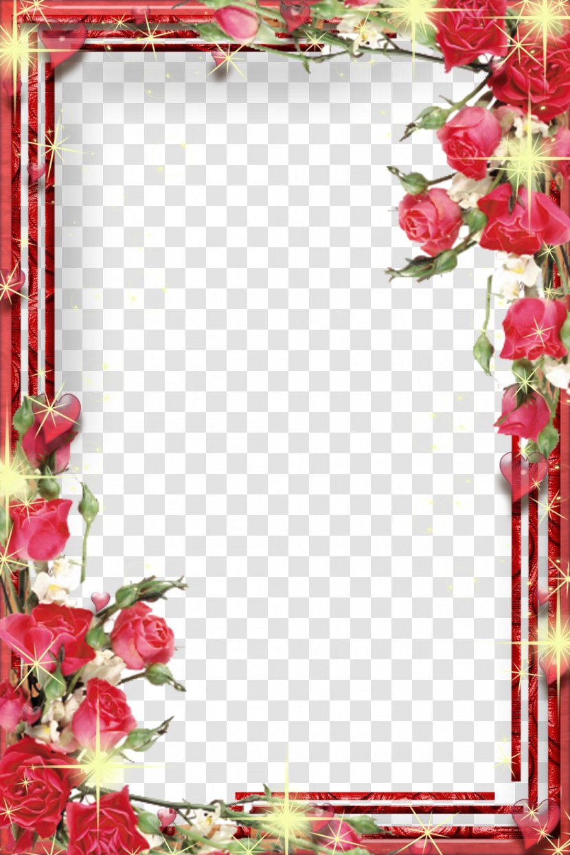 Picture Frames Microsoft Word Clip Art - Flower Arranging - Clipart Photo Frame Transparent PNG