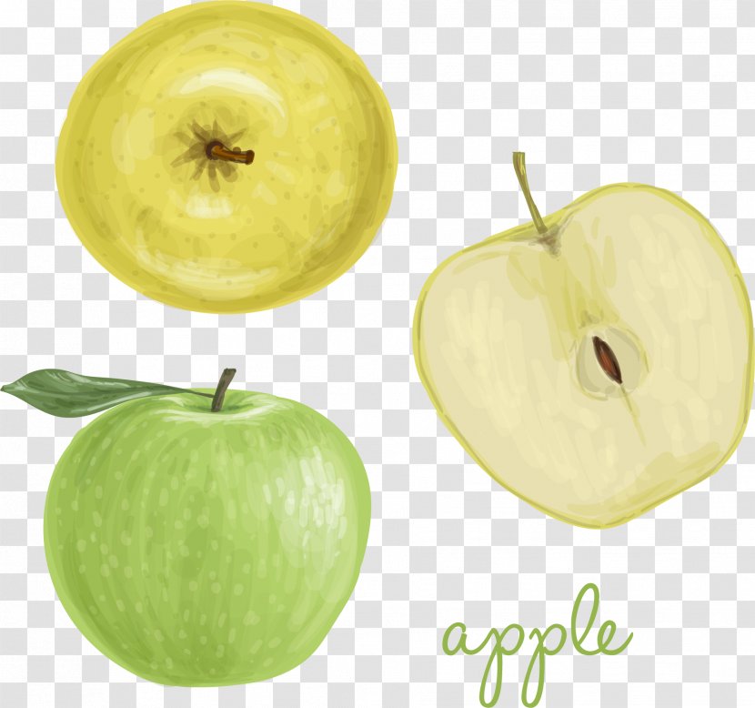 Granny Smith Apple Watercolor Painting - Color - Cute Hand-painted Apples Transparent PNG