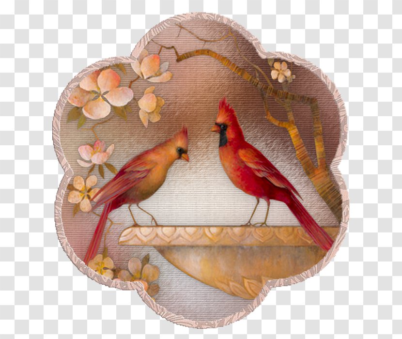 Parrot Bird Embroidery Clip Art - Collage - Two Parrots Transparent PNG