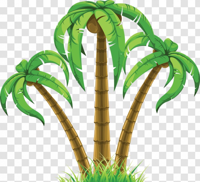 Clip Art Palm Trees Image Vector Graphics - Gaylord Palms Transparent PNG