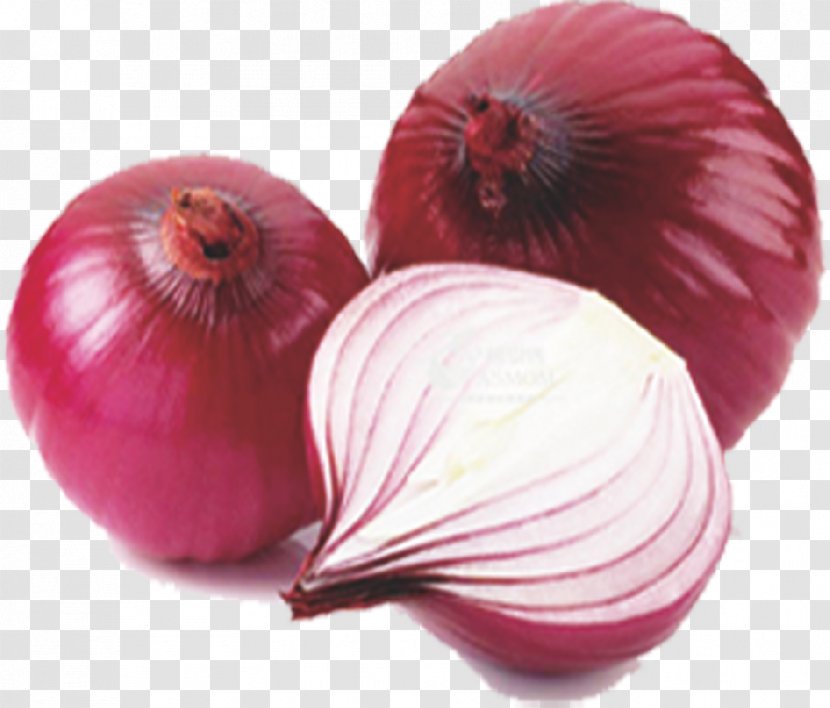 French Onion Soup Garlic Allium Fistulosum Organic Food Transparent PNG