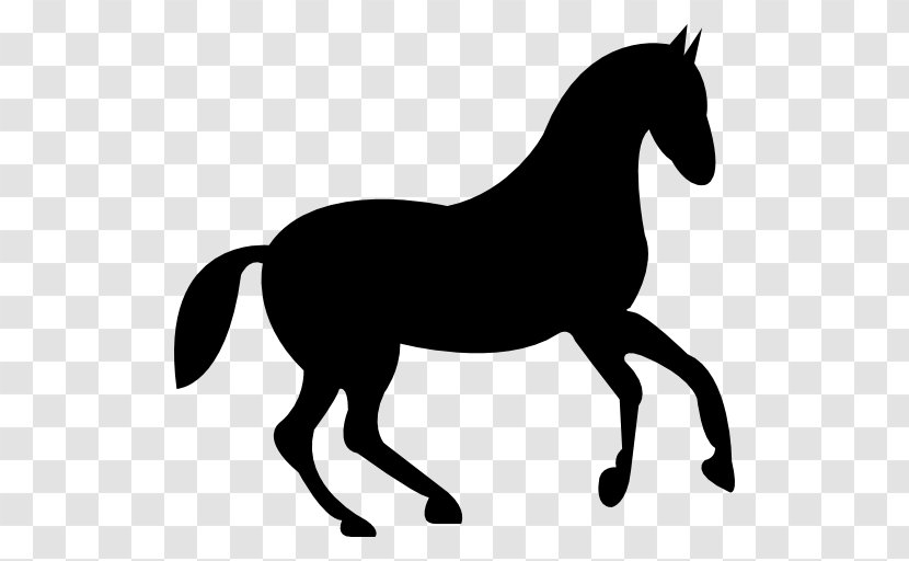 Riding Horse Equestrian Jockey Horse&Rider - Like Mammal - Race Transparent PNG