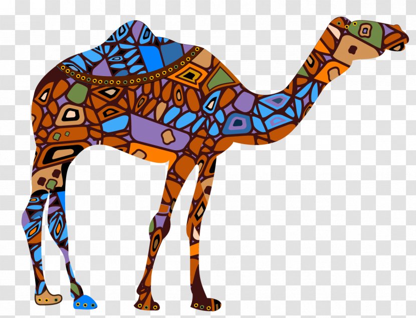 Dromedary Stock Illustration Vector Graphics Camel Train - Snout - Tenere Pattern Transparent PNG