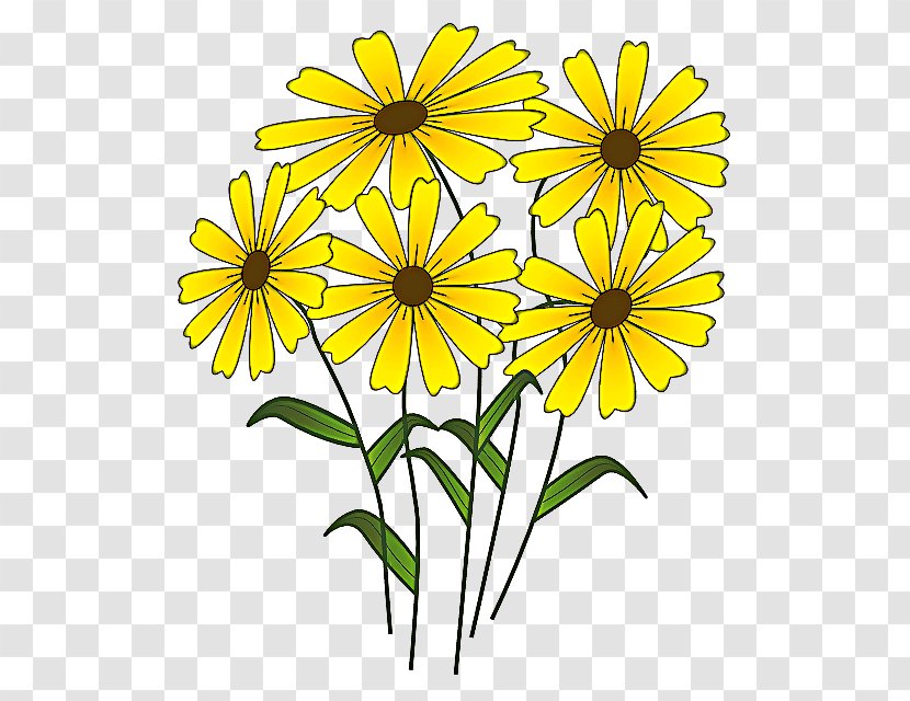 Drawing Of Family - Daisy - Sunflower Transparent PNG
