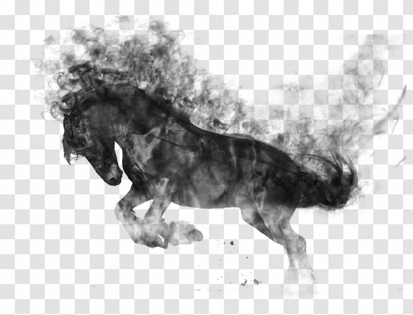Horse Gait Dog Breed - Monochrome Transparent PNG