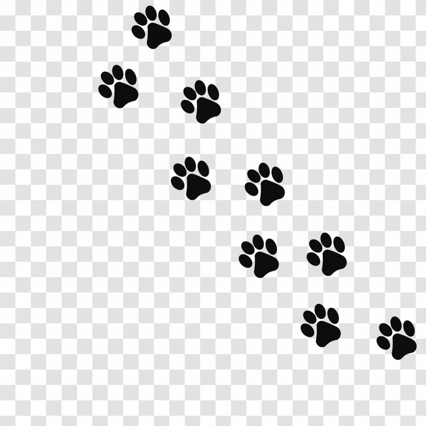 Cat Dog Kitten Footprint Paw - Symmetry - Black Animal Footprints Transparent PNG