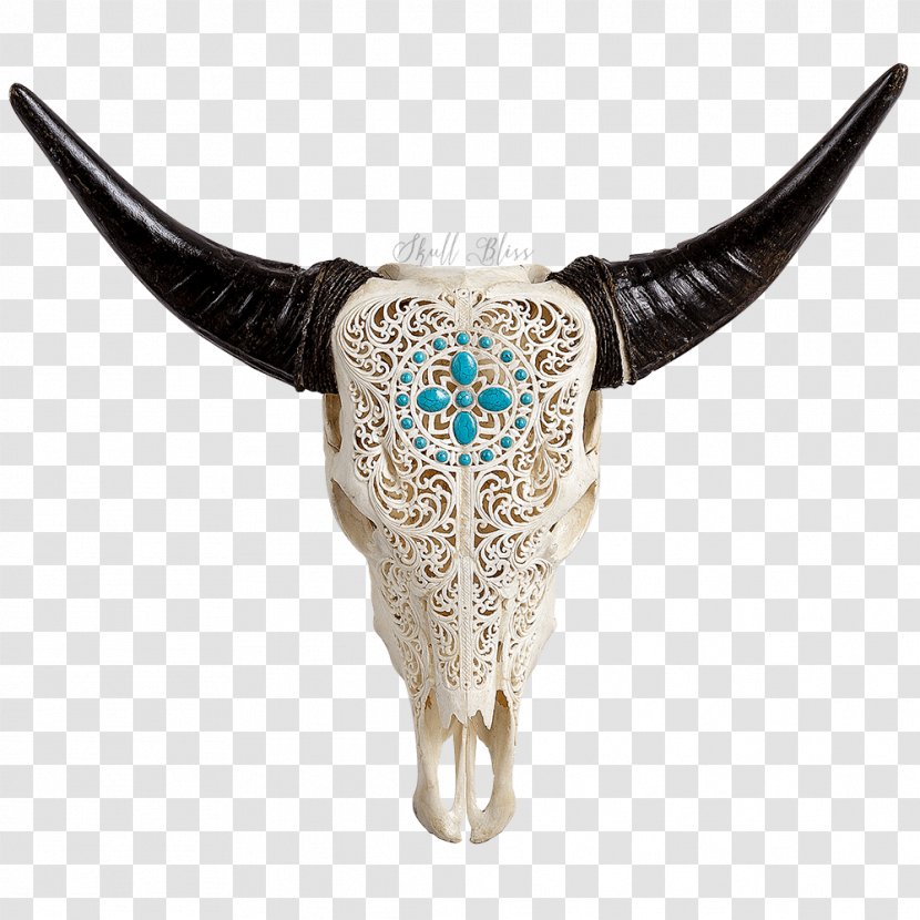 Cattle Skull XL Horns Animal - Jewellery Transparent PNG