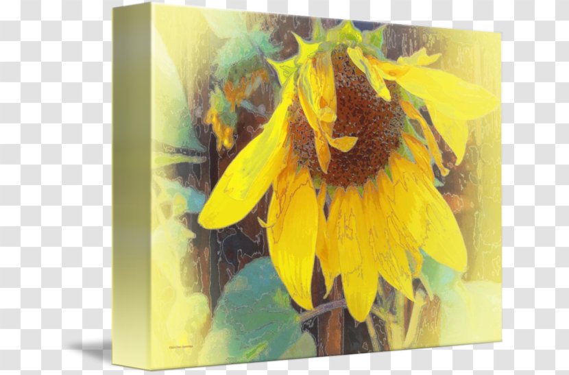 Common Sunflower Painting M Bowing Thin-shell Structure - Modern Art Transparent PNG