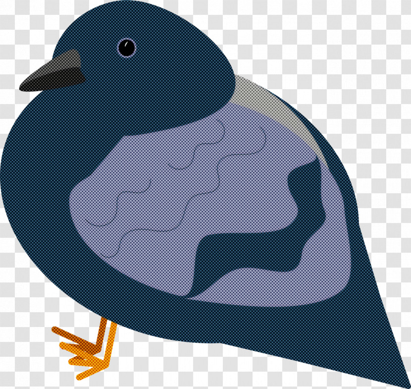 Duck Birds Flightless Bird Beak Water Bird Transparent PNG