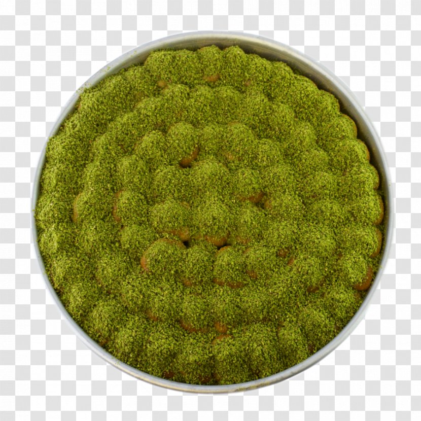Biome - Grass - Baklava Transparent PNG