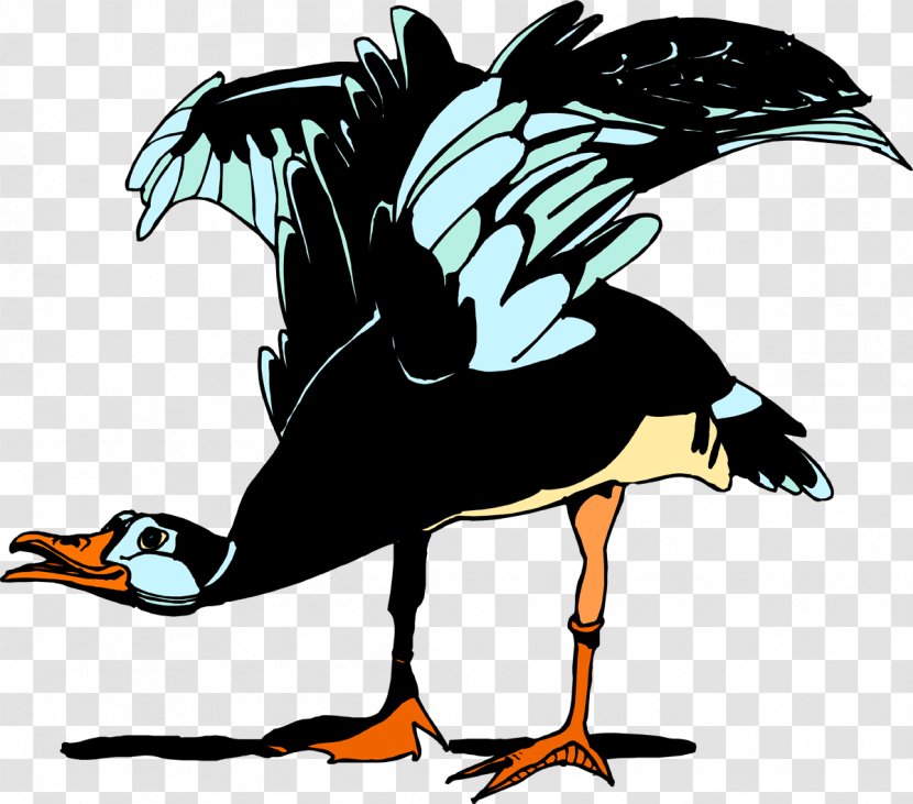 Water Bird Goose Cygnini Anatidae - Vulture Transparent PNG