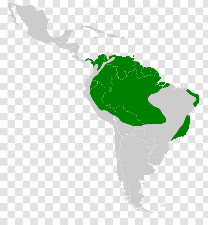 Latin America Giant Cowbird World Map Screaming - Americas Transparent PNG