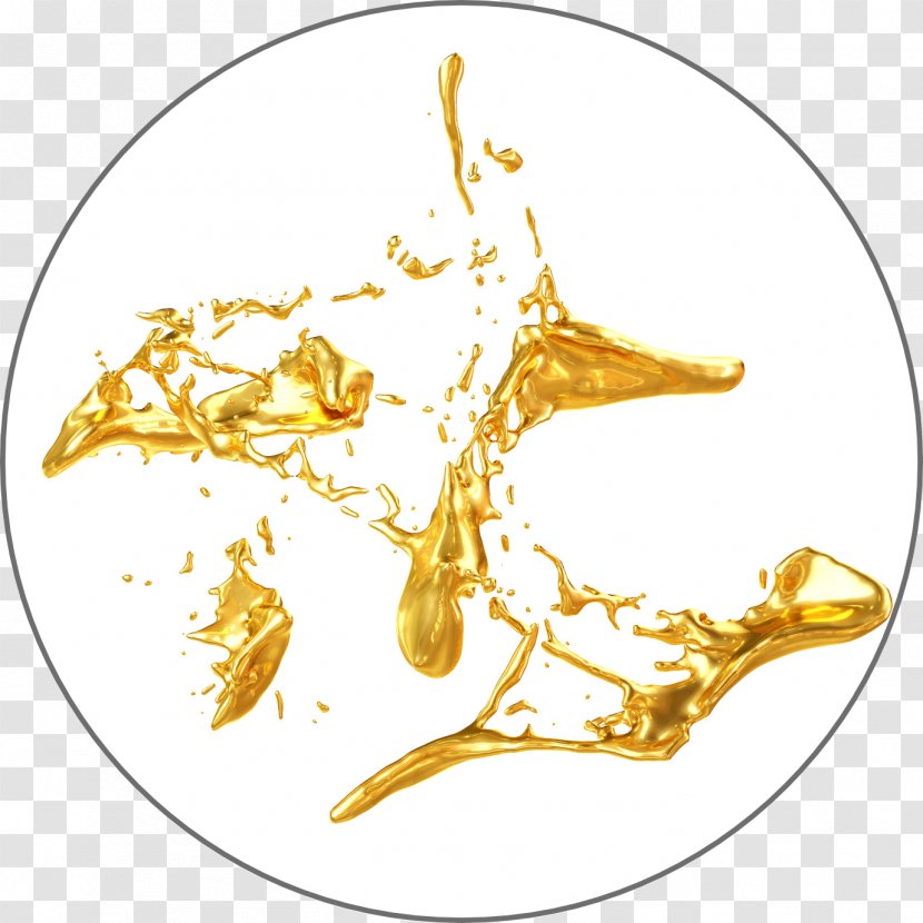 Stock Photography Gold Royalty-free - Organism Transparent PNG