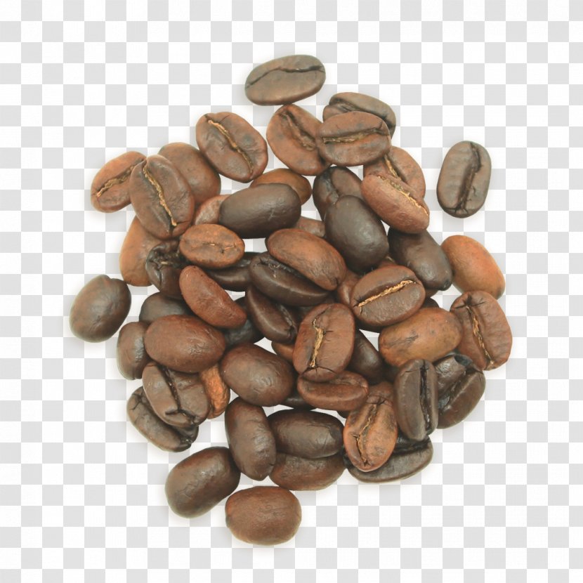 Jamaican Blue Mountain Coffee Single-origin Cafe Tarrazú - Seed Transparent PNG