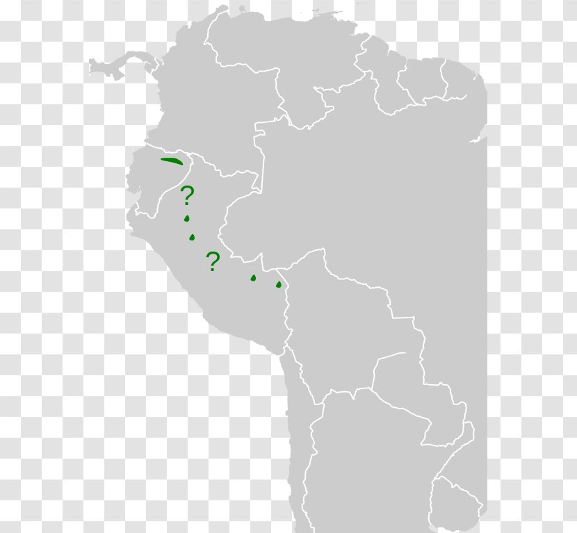 Ecuadorian Cacique Bird Wikipedia Plumage Grackles - Text - Vi Map Transparent PNG
