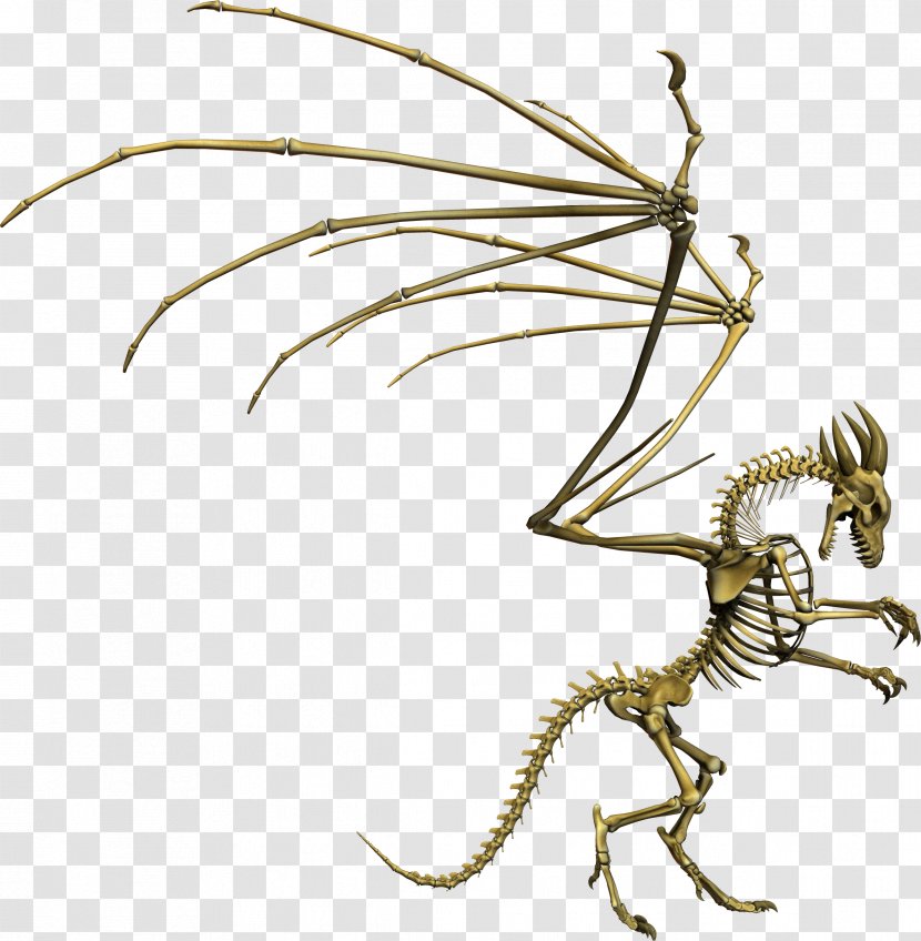 Wing Bone Human Skeleton Dragon - Skull Transparent PNG