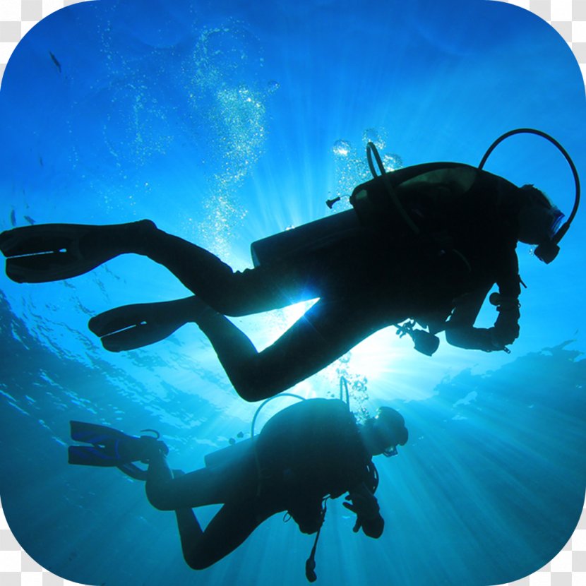 Scuba Diving Underwater Professional Association Of Instructors Set Dive Center - Recreational Diver Training Transparent PNG