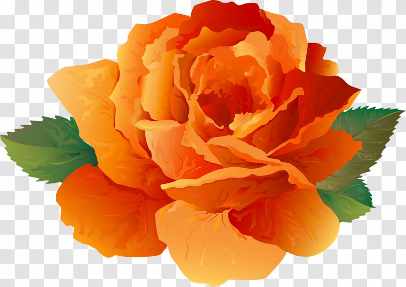 Drawing Clip Art - Floribunda - Painting Transparent PNG