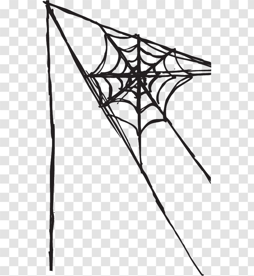 Spider Web Clip Art - Branch - Halloween Line Transparent PNG