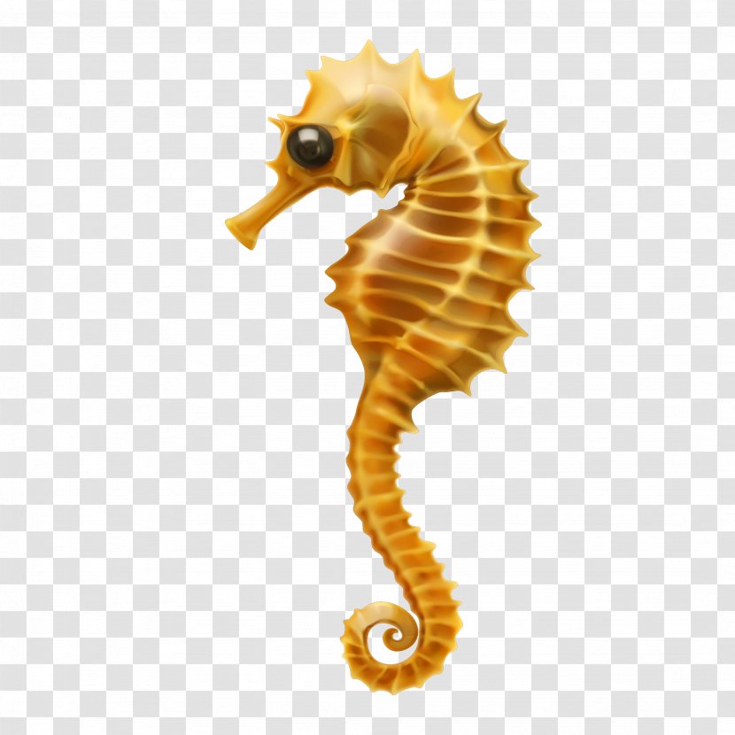 Seahorse Clip Art - Organism - Vector Cartoon Hippocampus Transparent PNG