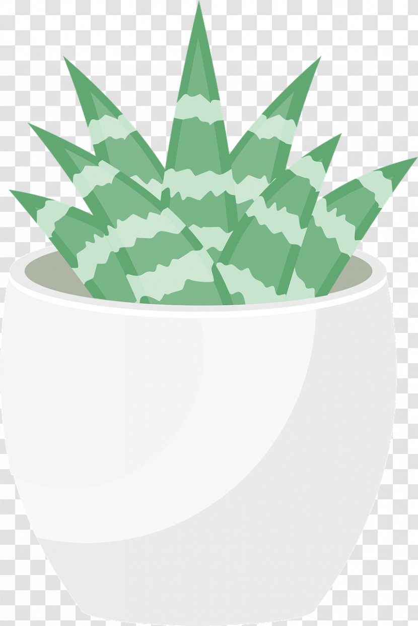 Leaf Tree - Aloe - Bonsai Transparent PNG