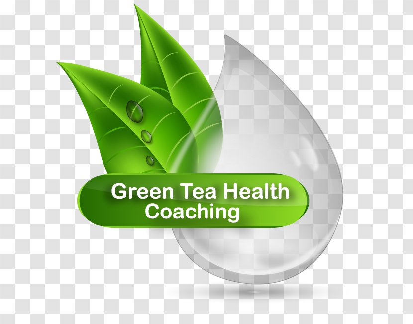 Green Tea Health Coaching Transparent PNG