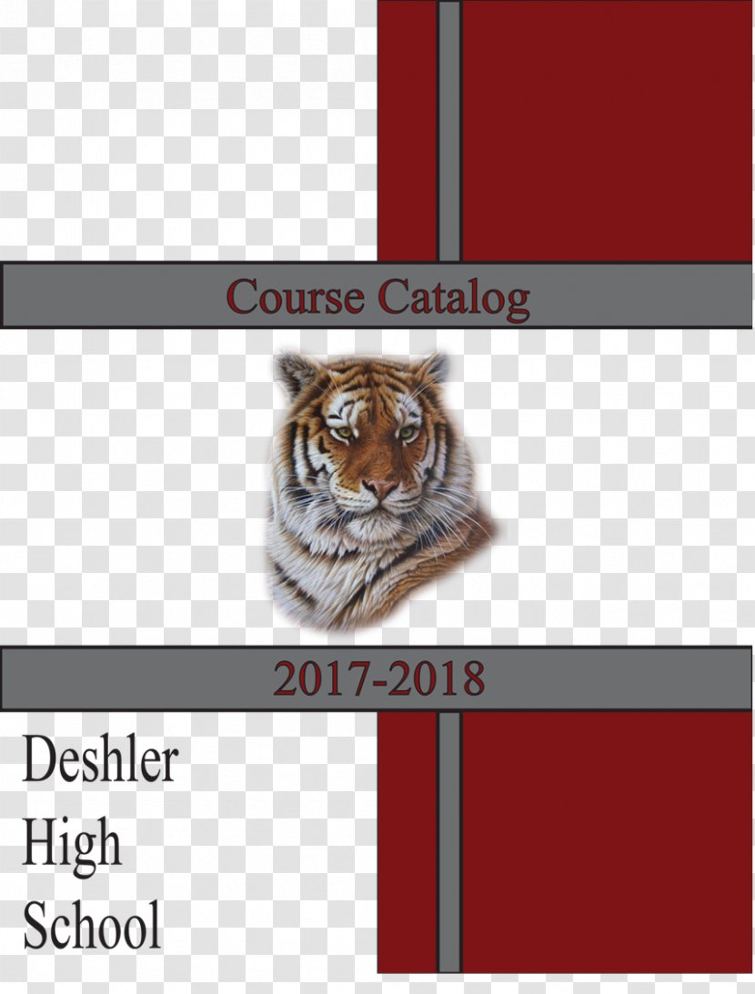 Cat Tiger Oil Painting - Catalog Cover Transparent PNG