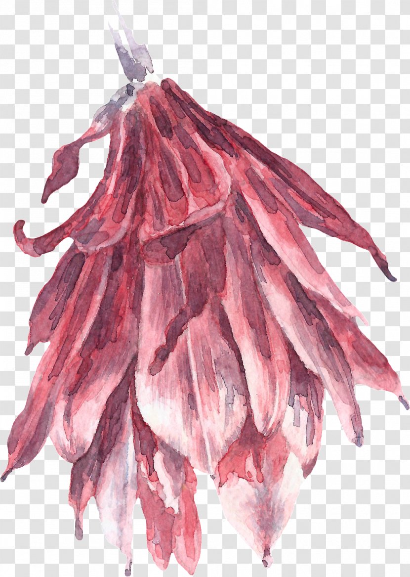 Pink Flower Cartoon - Plant - Feather Tree Transparent PNG
