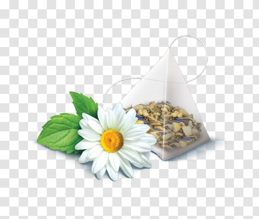 Alternative Health Services Medicine - Chamomile - Lemon Yellow Fruit Transparent PNG