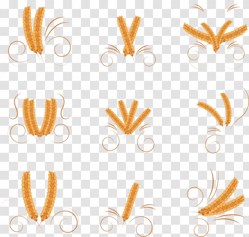 Common Wheat Bread Cereal Flour - Hand-painted Picture Transparent PNG