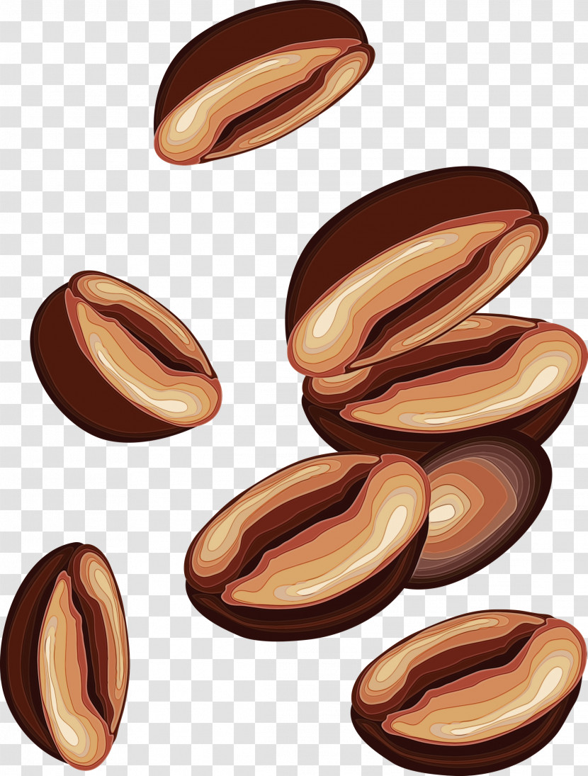 Nut Food Nuts & Seeds Plant Wood Transparent PNG