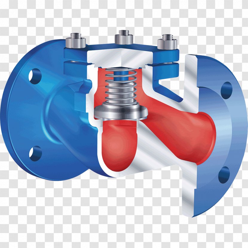Check Valve Control Valves Nominal Pipe Size Butterfly - Declaration Transparent PNG