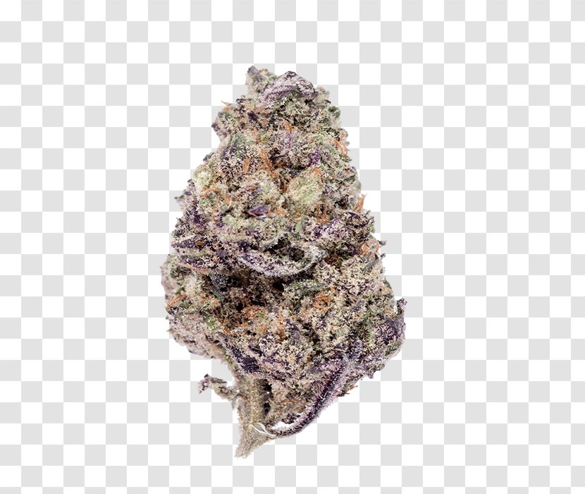 Purple Haze Cannabis Leafly Skunk - Bud Transparent PNG