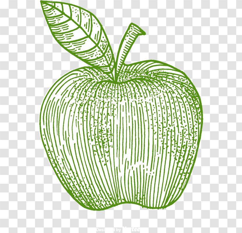 IPhone 7 Apple - Plant - Vector Green Line Transparent PNG