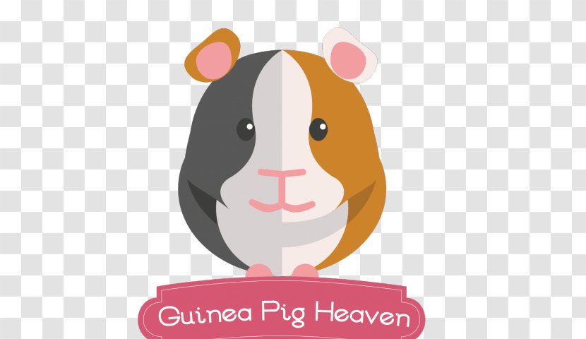 Skinny Pig Hamster Guinea Care Rodent Clip Art - Real Transparent PNG