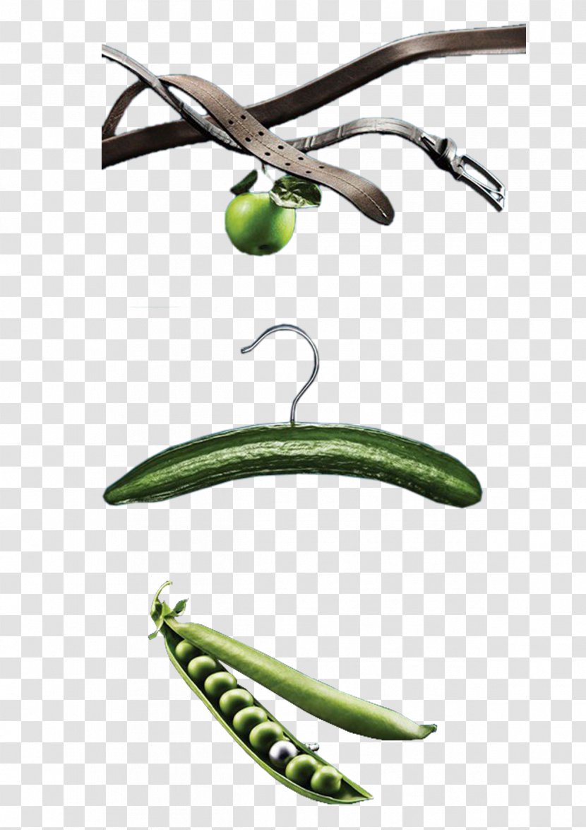 Cucumber Clothes Hanger Designer - Coat Rack - Belt Green Beans Transparent PNG