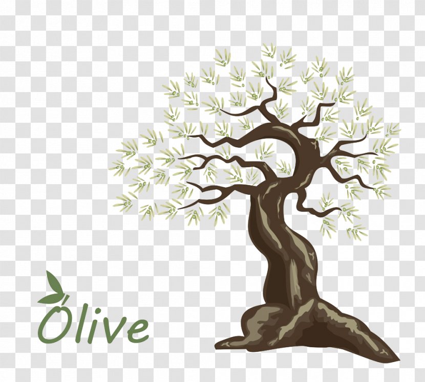 Olive Oil Tree - Logo - Hand-painted Transparent PNG