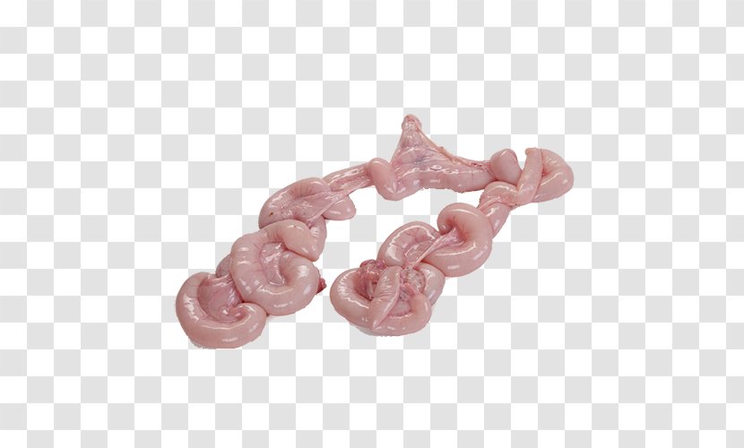Uterus Domestic Pig Pork Food - Uterine Prolapse Transparent PNG