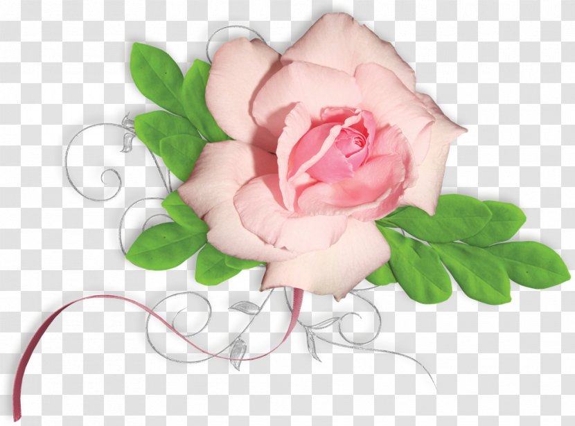 Garden Roses Floral Design Flower - Rose Order - Painting Material Transparent PNG