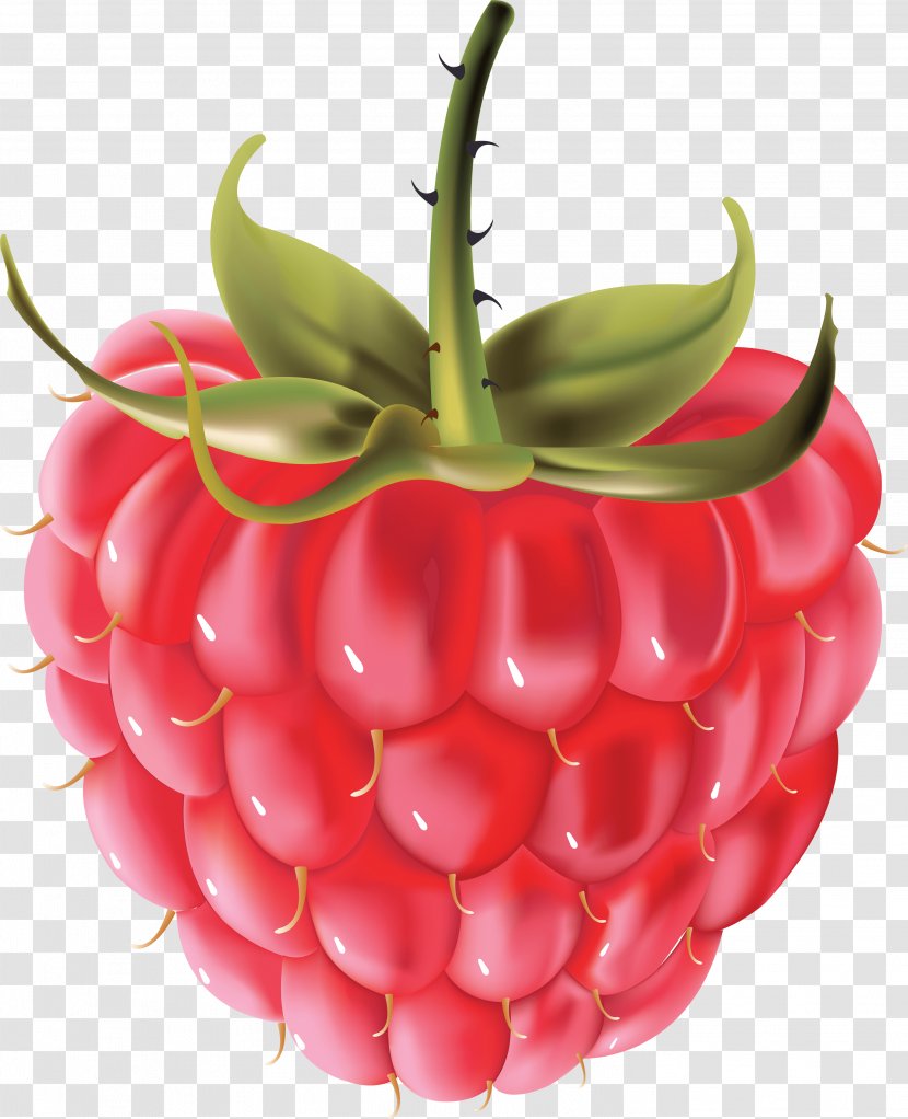 Raspberry Clip Art - Black - Rraspberry Image Transparent PNG