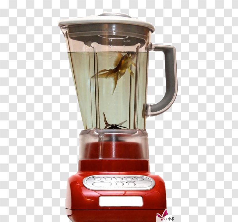 Smoothie Milkshake Blender Kitchen Utensil - Soymilk Fish Transparent PNG