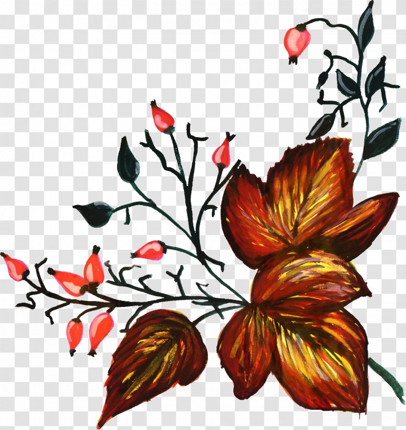 Autumn Leaf Drawing - Ornament - Branch Transparent PNG