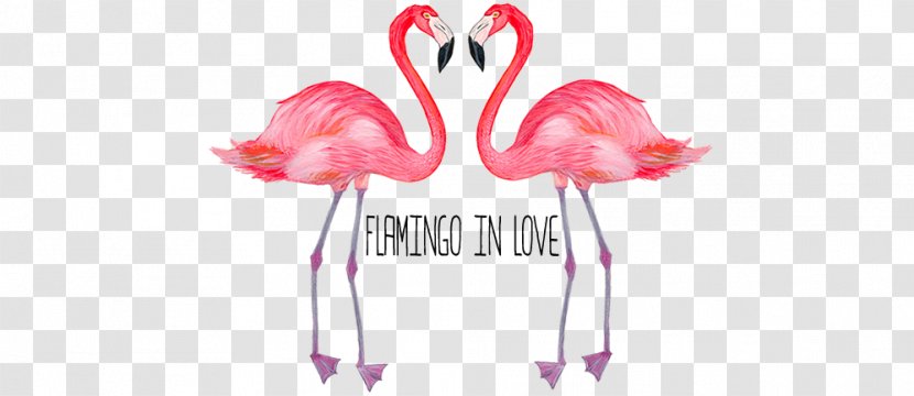 Flamingos Desktop Wallpaper Photography - Facebook - Flamingo Love Transparent PNG