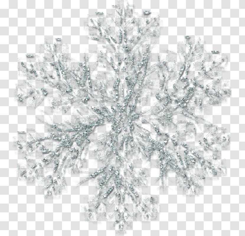 Winter - Freezing - Snow Flower Transparent PNG