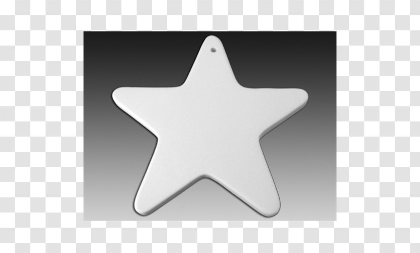 Starfish Angle Transparent PNG
