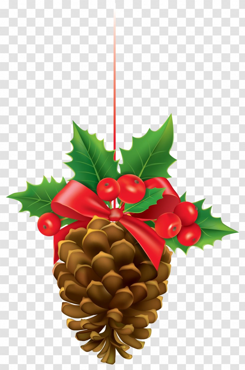 Christmas Decoration Ornament Conifer Cone Pine Transparent PNG